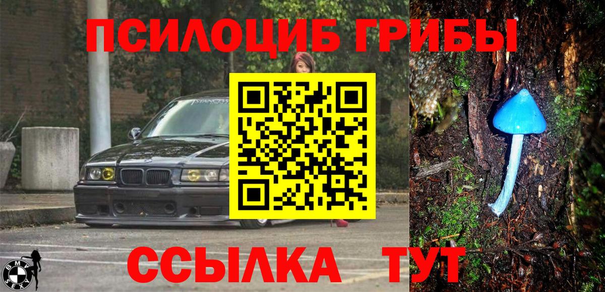 Избербаш  Псилоцибиновые грибы ЛСД  Вход с VPN  Псилоцибиновые грибы MAGIC MUSHROOMS 