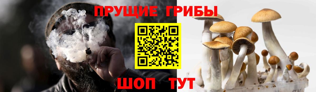 Галлюциногенные грибы ЛСД Избербаш